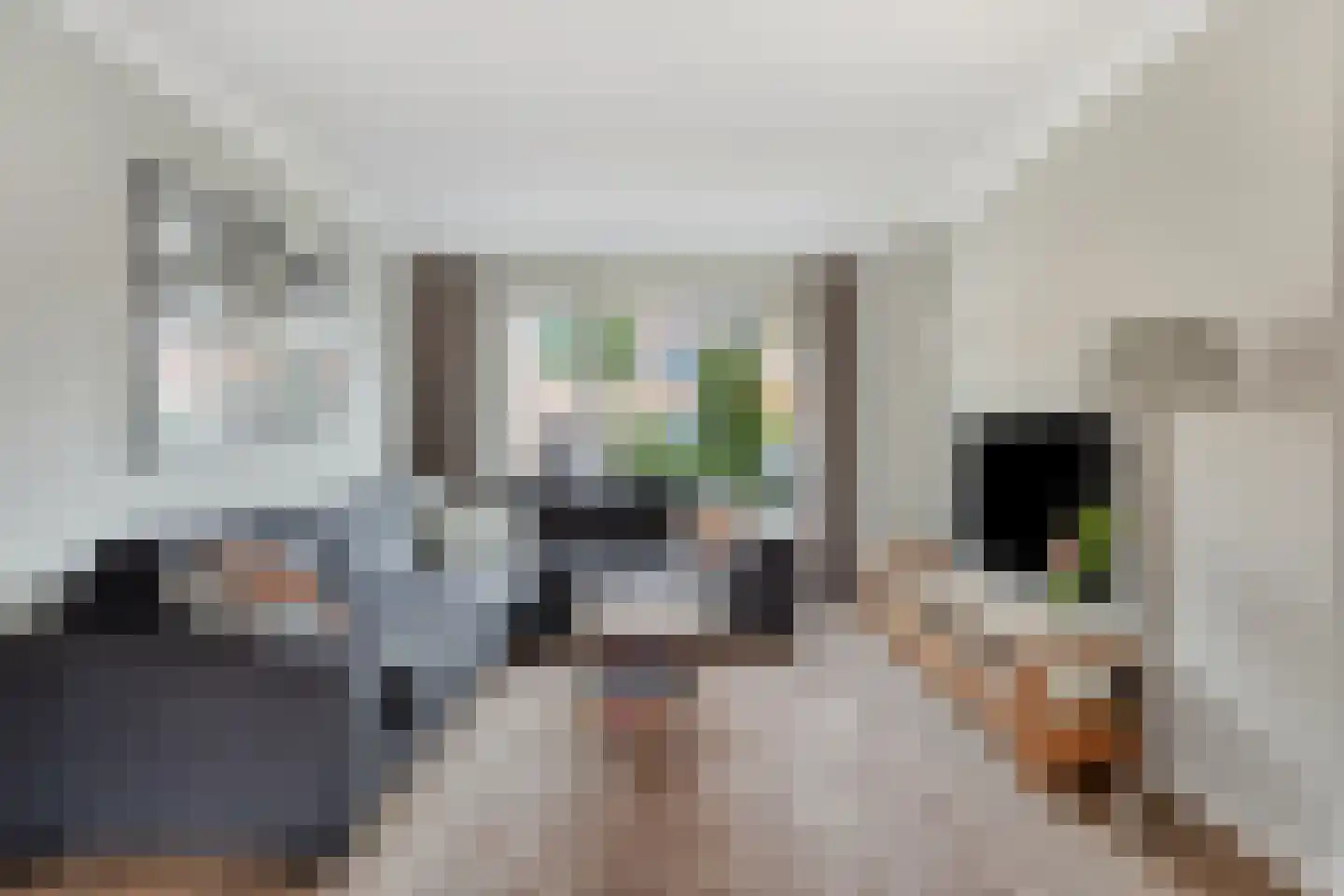 Marchantstraat 4 Oss thumbnail 4