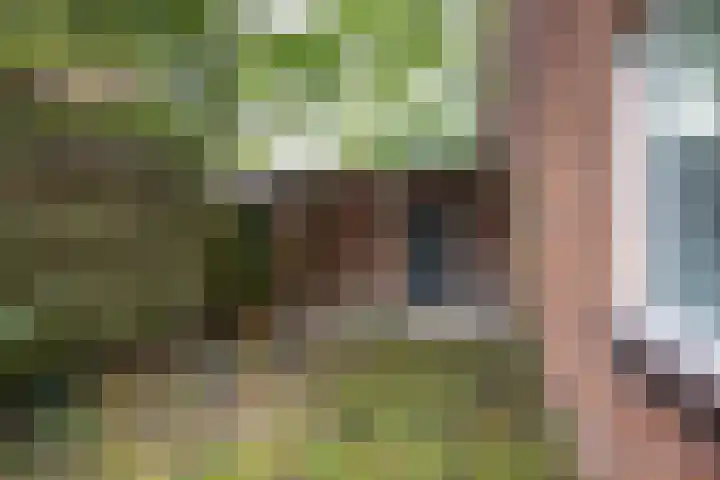 Marchelmlaan 17 Almelo thumbnail 28