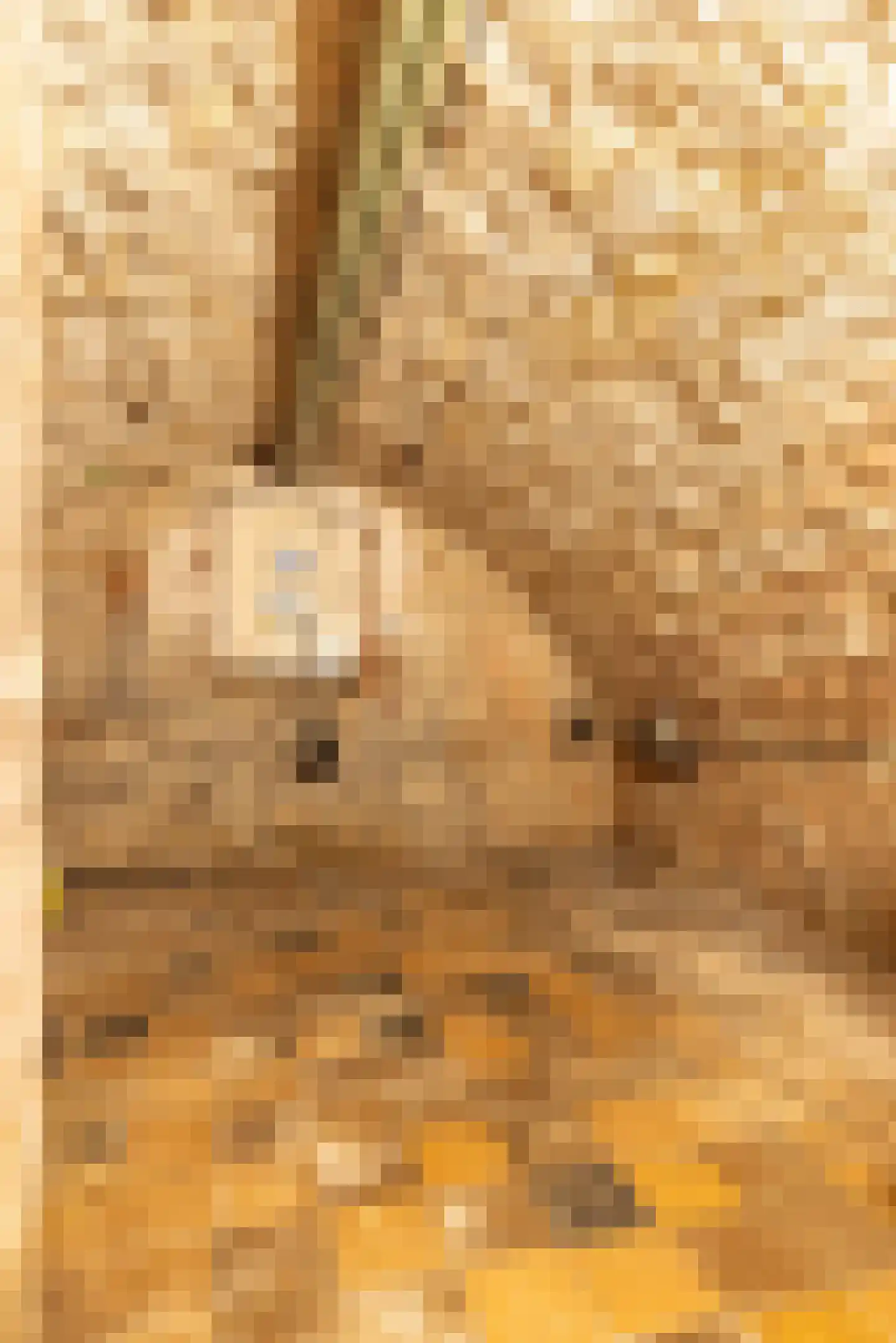 Marchierstraat 26 Wijlre thumbnail 27