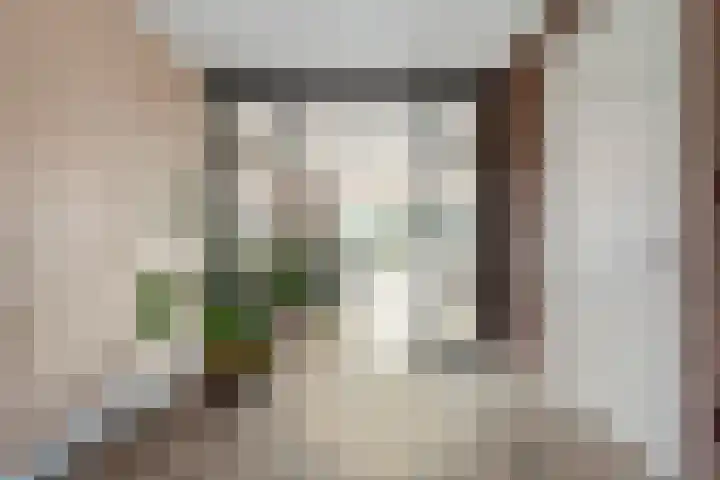 Marckerichter 3 Ommen thumbnail 10