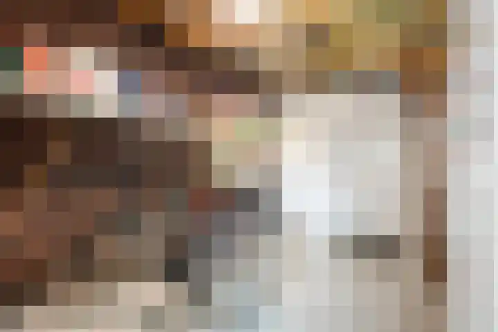 Marckerichter 3 Ommen thumbnail 17
