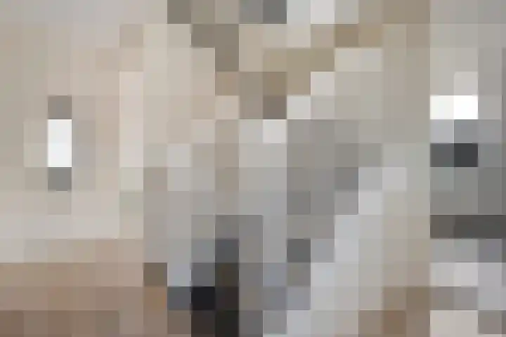 Marckerichter 3 Ommen thumbnail 18