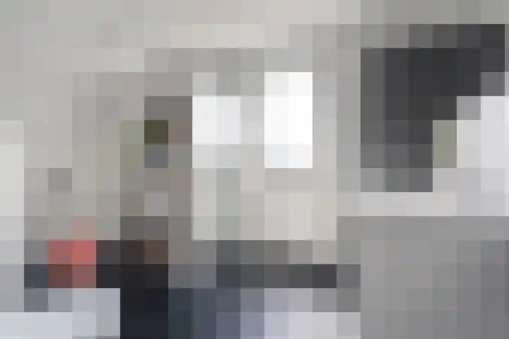 Marckerichter 3 Ommen thumbnail 24