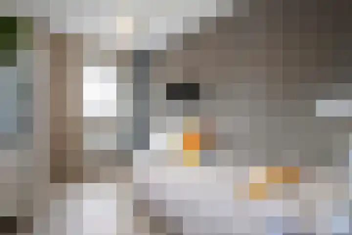 Marckerichter 3 Ommen thumbnail 26