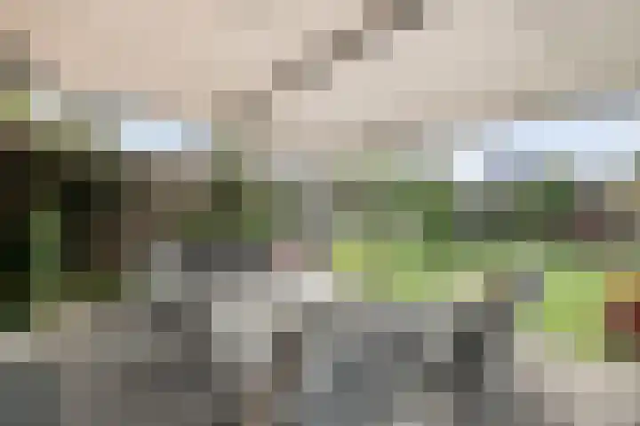 Marckerichter 3 Ommen thumbnail 30