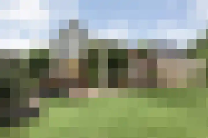 Marckerichter 3 Ommen thumbnail 31