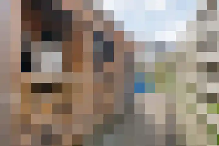 Marckerichter 3 Ommen thumbnail 35