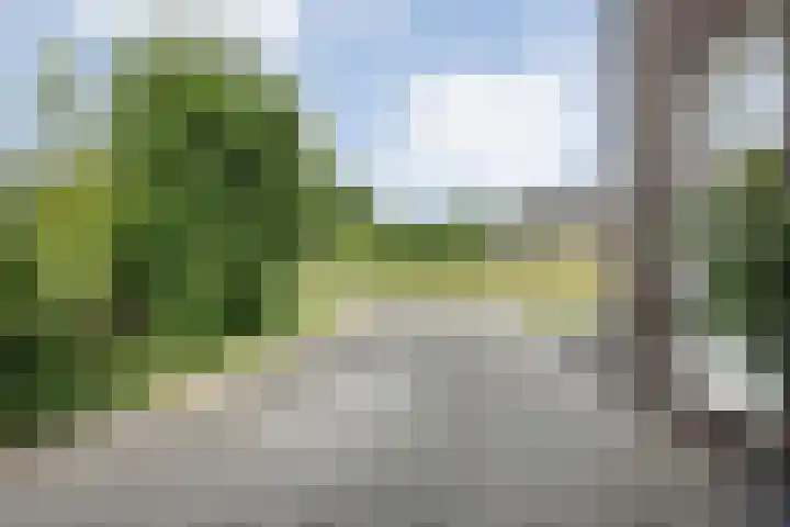 Marckerichter 3 Ommen thumbnail 4