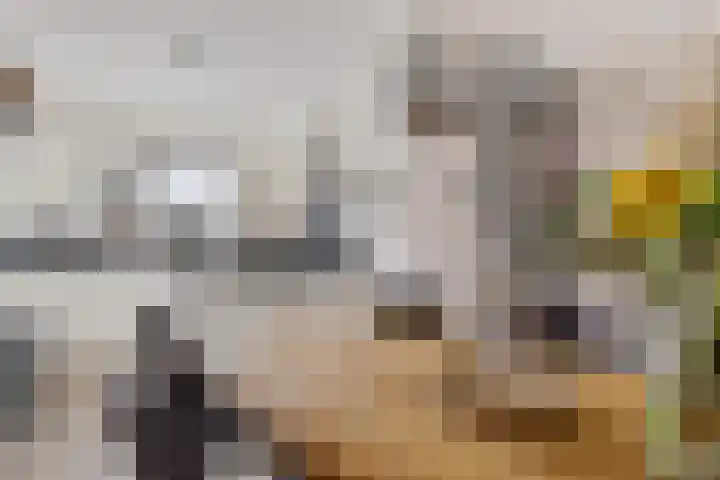 Marco Pololaan 12 Emmeloord thumbnail 14