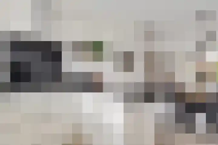 Marco Pololaan 12 Emmeloord thumbnail 16