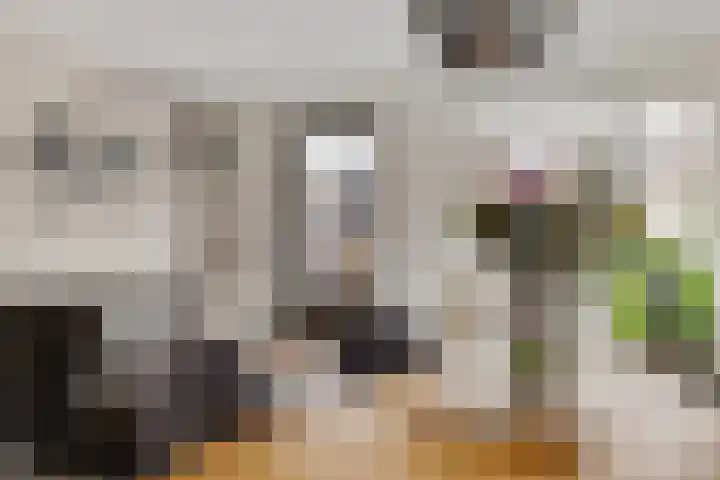 Marco Pololaan 12 Emmeloord thumbnail 18