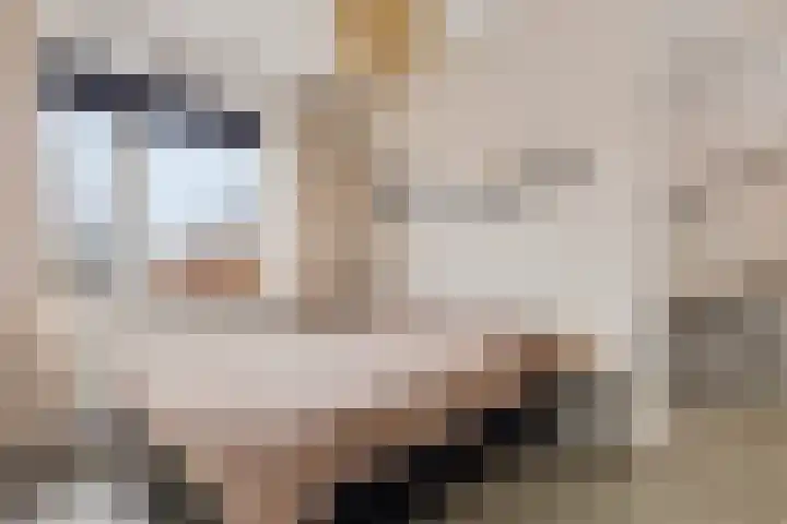 Marco Pololaan 12 Emmeloord thumbnail 22