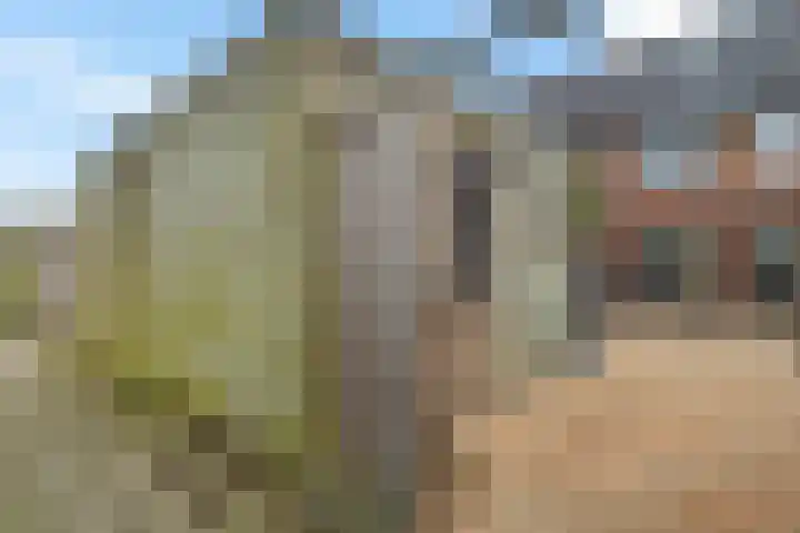 Marco Pololaan 12 Emmeloord thumbnail 33