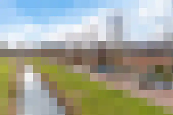 Marco Pololaan 12 Emmeloord thumbnail 35