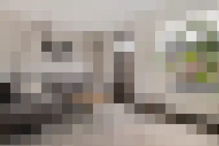 Marco Pololaan 12 Emmeloord thumbnail 9