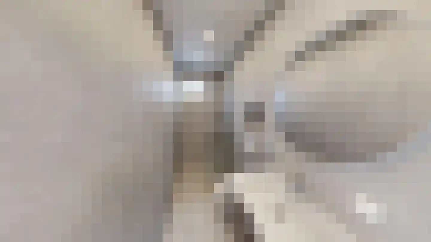 Marco Pololaan 132 Utrecht thumbnail 27