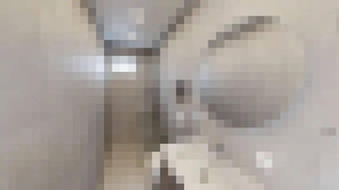 Marco Pololaan 132 Utrecht thumbnail 29
