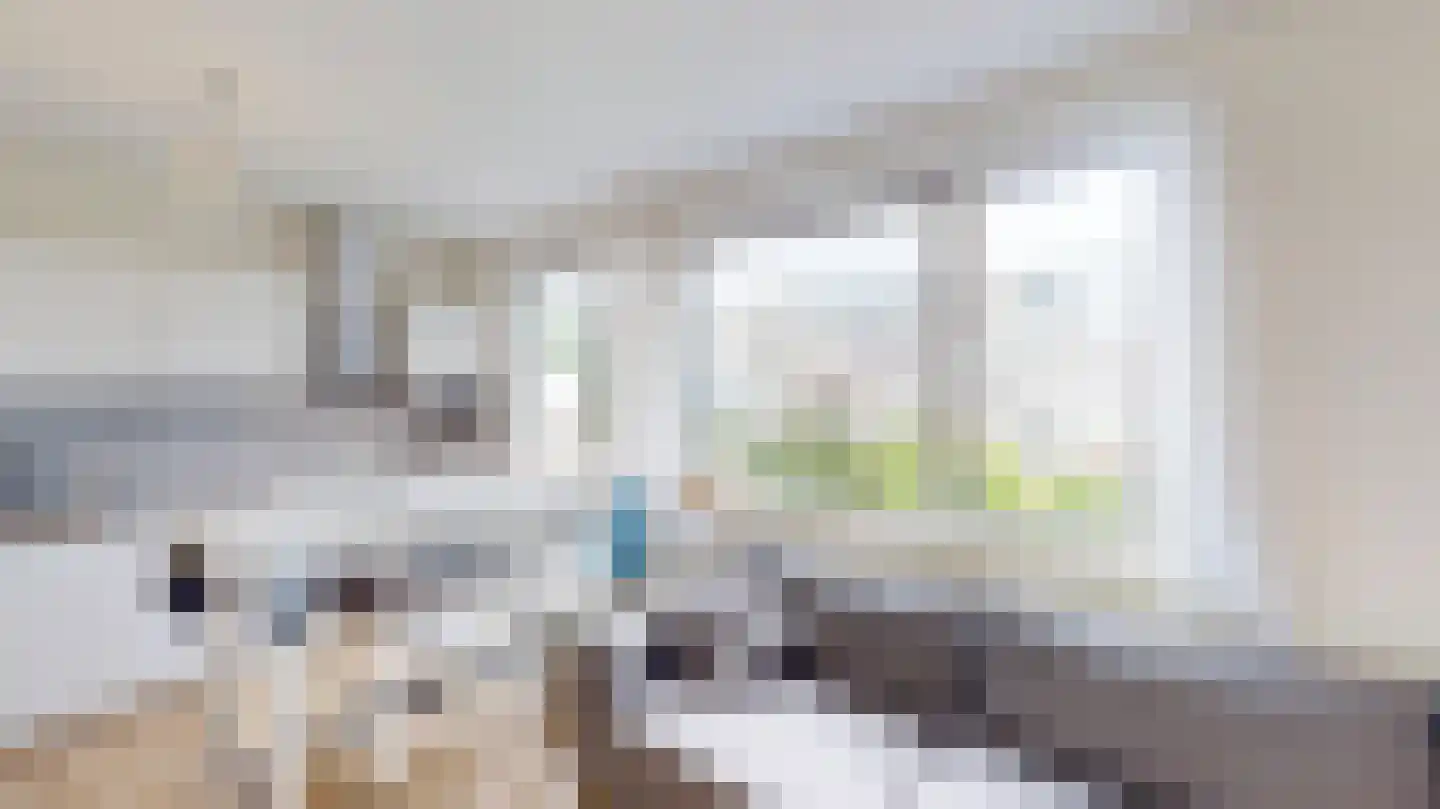Marco Pololaan 132 Utrecht thumbnail 35