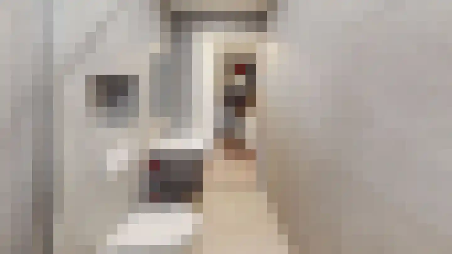 Marco Pololaan 132 Utrecht thumbnail 49