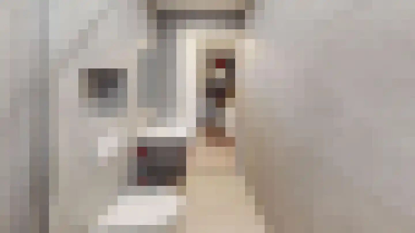 Marco Pololaan 132 Utrecht thumbnail 49