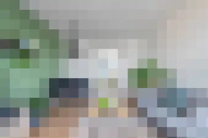 Marco Pololaan 168 Utrecht thumbnail 11