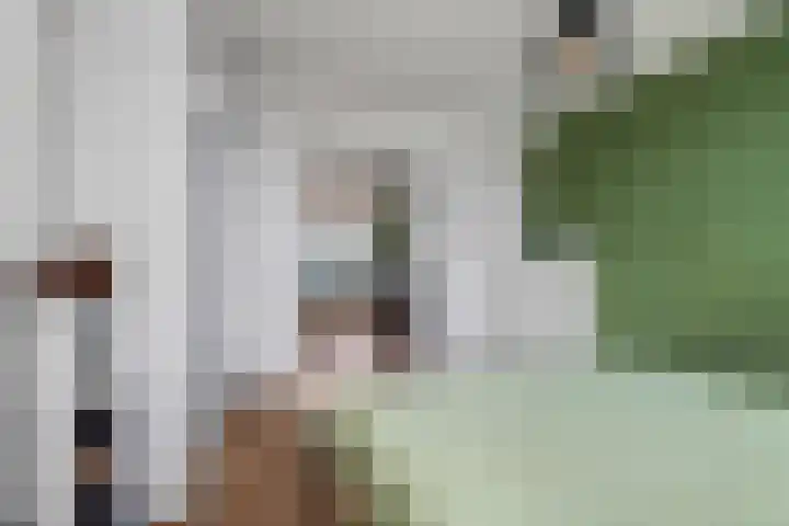 Marco Pololaan 168 Utrecht thumbnail 17