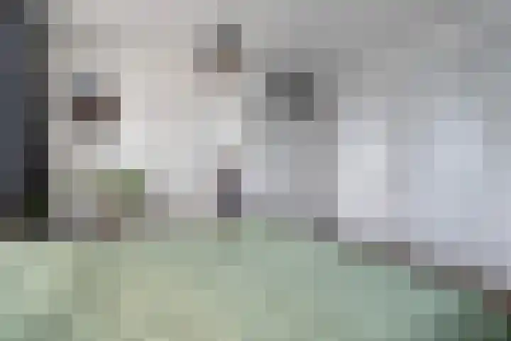 Marco Pololaan 168 Utrecht thumbnail 18