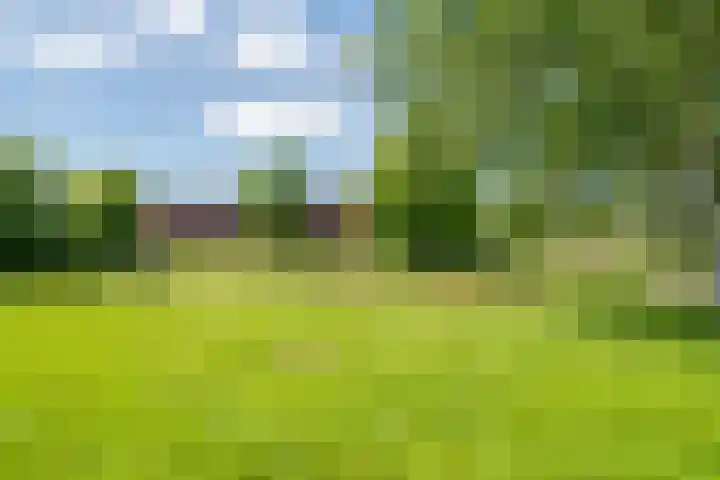 Marco Pololaan 168 Utrecht thumbnail 36