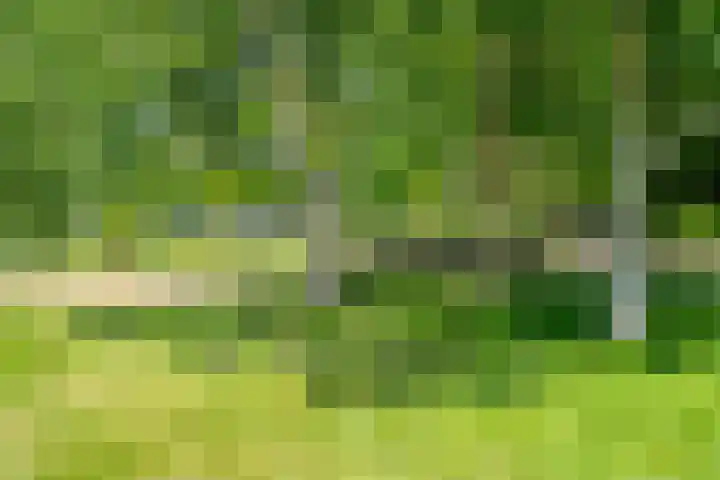 Marco Pololaan 168 Utrecht thumbnail 37