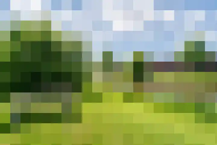 Marco Pololaan 168 Utrecht thumbnail 38