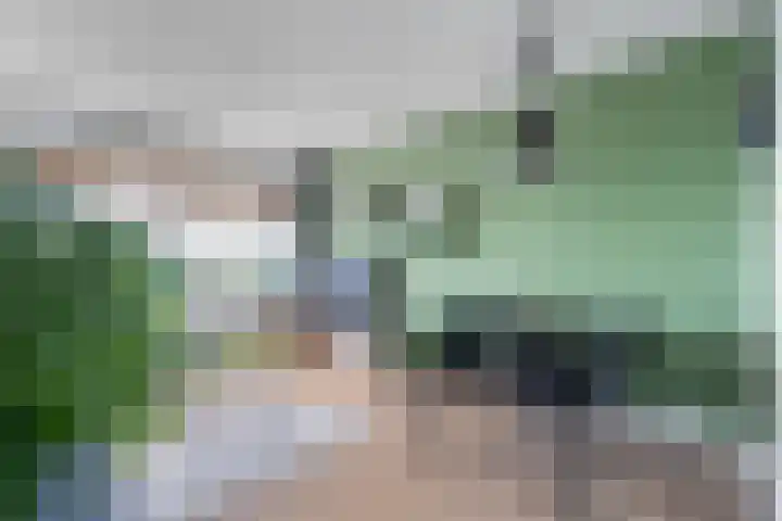 Marco Pololaan 168 Utrecht thumbnail 6