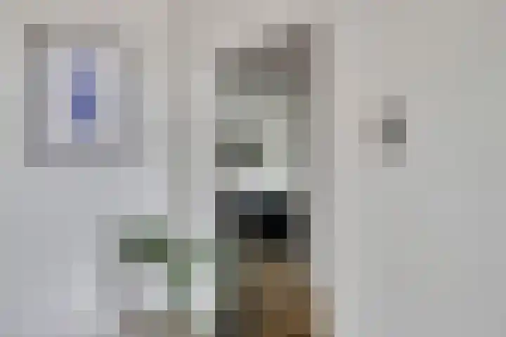 Marco Pololaan 195 Utrecht thumbnail 12