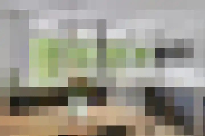 Marco Pololaan 195 Utrecht thumbnail 15