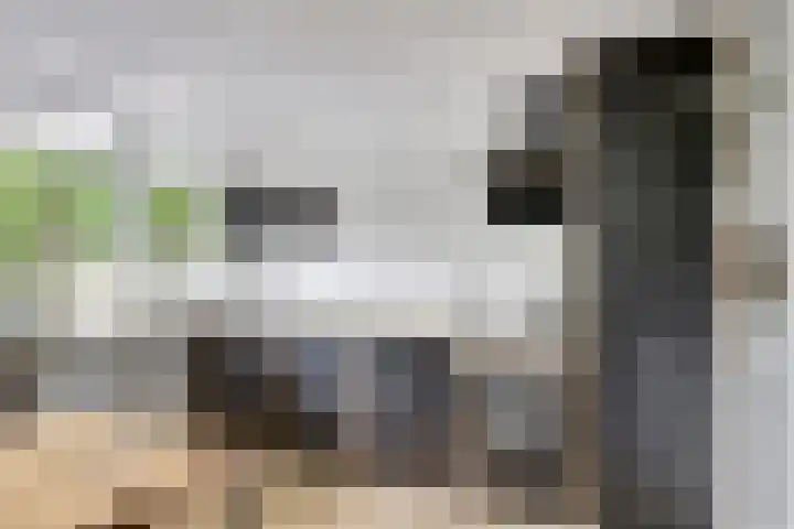 Marco Pololaan 195 Utrecht thumbnail 16