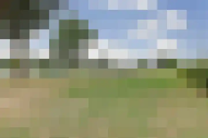 Marco Pololaan 195 Utrecht thumbnail 24