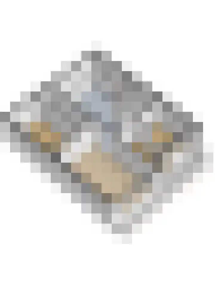 Marco Pololaan 195 Utrecht thumbnail 29