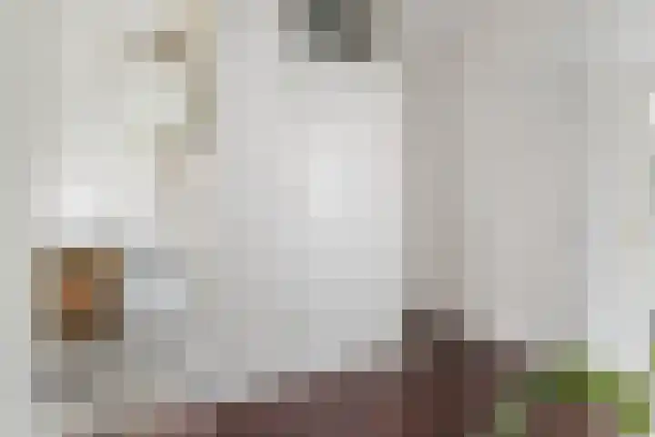 Marco Pololaan 199 Utrecht thumbnail 17
