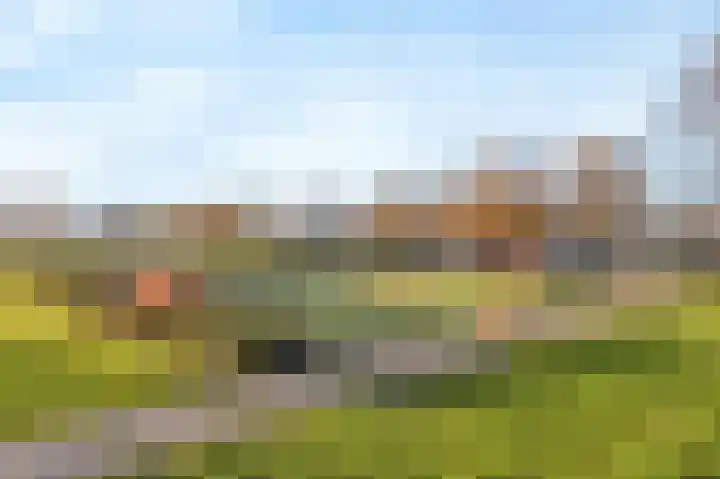 Marco Pololaan 199 Utrecht thumbnail 23
