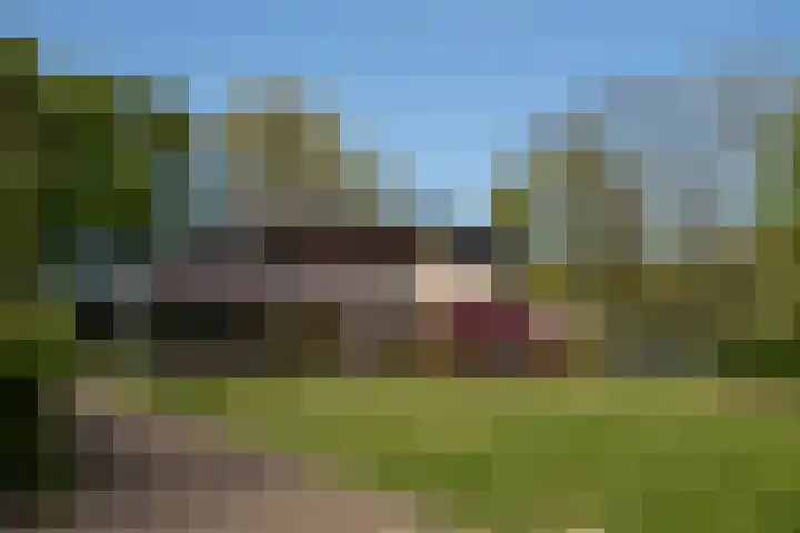 Marco Pololaan 199 Utrecht thumbnail 25