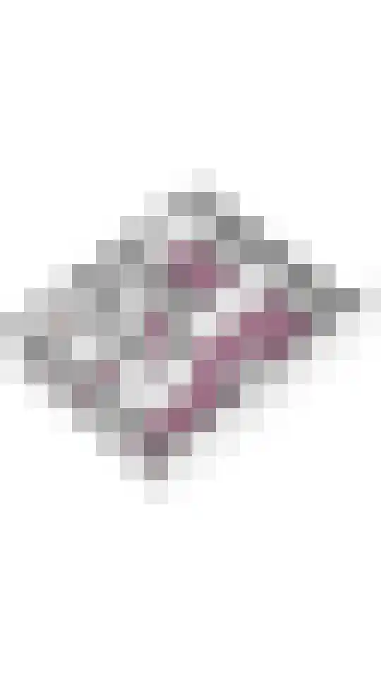 Marco Pololaan 199 Utrecht thumbnail 28