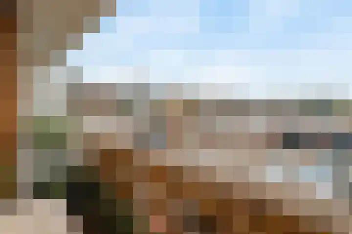 Marco Pololaan 199 Utrecht thumbnail 4