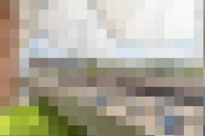 Marco Pololaan 229 Utrecht thumbnail 15