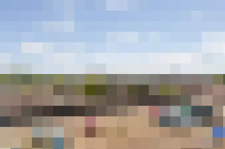 Marco Pololaan 229 Utrecht thumbnail 16