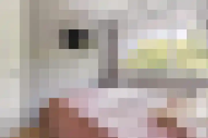Marco Pololaan 229 Utrecht thumbnail 18
