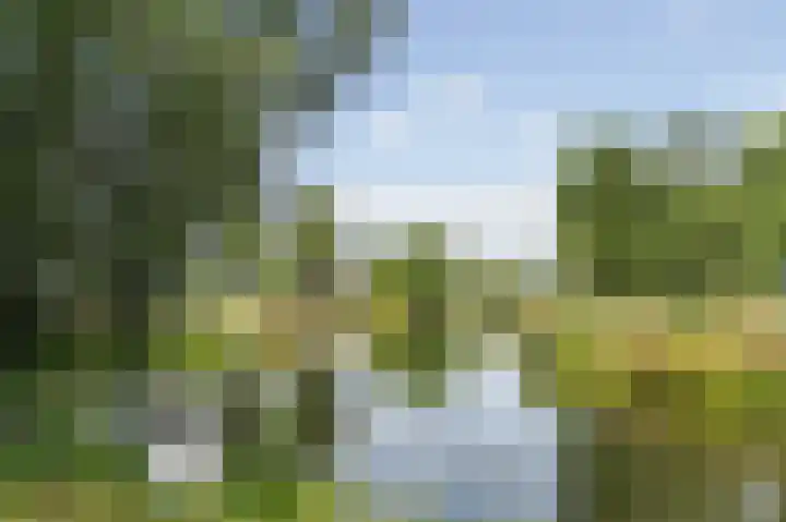 Marco Pololaan 229 Utrecht thumbnail 27