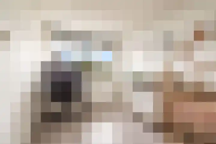 Marco Pololaan 313 Utrecht thumbnail 20