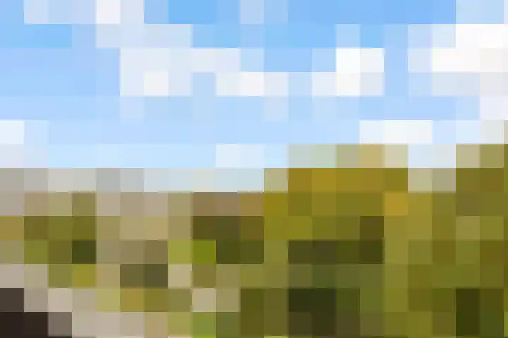 Marco Pololaan 313 Utrecht thumbnail 25