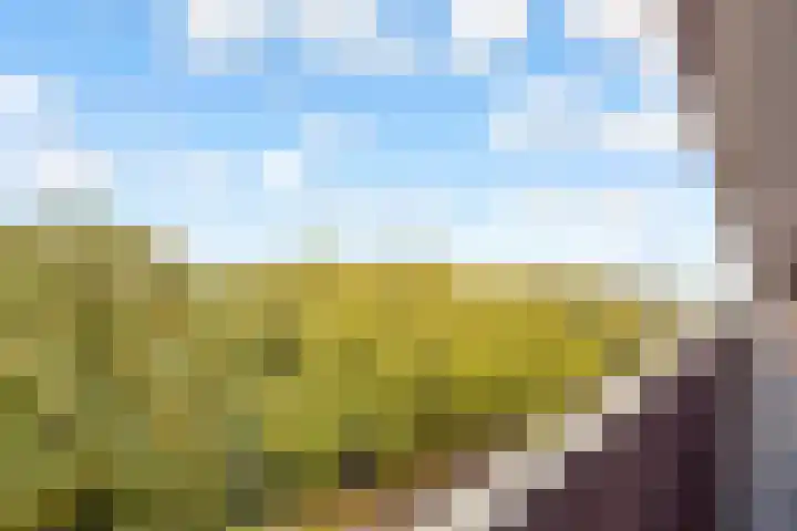 Marco Pololaan 313 Utrecht thumbnail 26