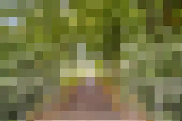 Marco Pololaan 313 Utrecht thumbnail 28