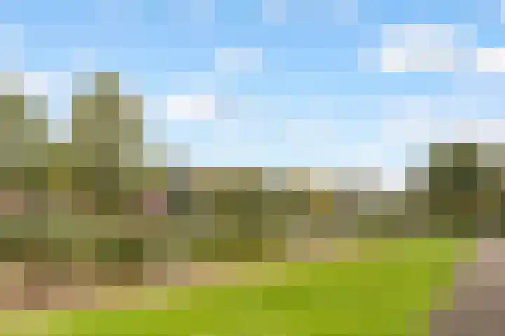 Marco Pololaan 313 Utrecht thumbnail 29